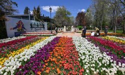 Gaziantep’te ilkbahar kartpostallık manzaralar oluşturdu