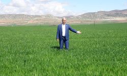 Yağışlar üreticinin yüzünü güldürdü