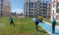 Araban TOKİ konutlarında ilaçlama işlemleri başladı