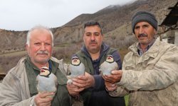 Atadan toruna kalan dev miras