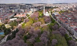 Gaziantep'te parklar görsel şölene döndü