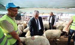 Tahmazoğlu’ndan vatandaşlara kurban fiyatı müjdesi