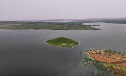 Gaziantep'te fıstık bahçesi su altında kaldı
