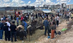 Gaziantep’te kurban pazarlarında arefe yoğunluğu