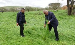Süper hücre Gaziantep’te hububatı vurdu