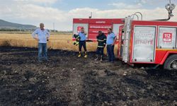 Buğday tarlasında 5 dönüm zarar gördü
