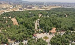 Gaziantep Doğal Yaşam Parkı uluslararası üyeliğe hazırlanıyor