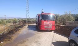 Gaziantep’te zeytinlik alanda yangın çıktı