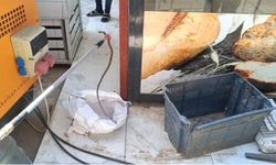 İslahiye’de iş yerinde yılan paniği: Ekmek sandığından çıktı