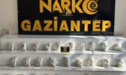 Narkotikten büyük operasyon: 8 tutuklama