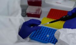 Op. Dr. Gür: Rahim ağzı kanseri erken tanıyla önlenebilir