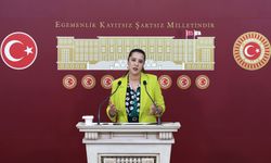 Karaca: “Siyasete yönelik tehditler kabul edilemez”