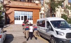 Hayvan satışı vaadiyle dolandırıcılık yapan şebeke çökertildi