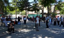 Üniversite hayali için ter döktüler