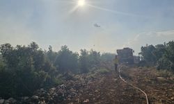 Nurdağı'ndaki orman yangını kontrol altına alındı