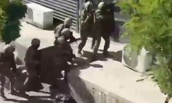 Gaziantep'te yasa dışı kenevir üretimine dev operasyon