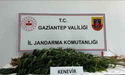 Gaziantep'te zehir tacirlerine dev operasyon
