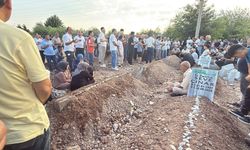 Trafik kazası yedi can aldı