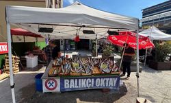 Karadeniz’de balık bolluğu beklentisi sürüyor