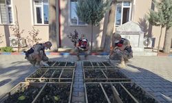 Hatay'da binlerce saka kuşunu taşıyan sürücüye ağır ceza