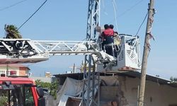 Elektrik direğinde asılı halde bulundu