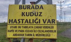 "Burada kuduz hastalığı var" tabelası dikkat çekti