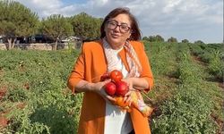 Gaziantep’te ata tohumu için düğmeye basıldı