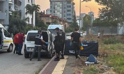 Silahlı kavga: baba ve oğul öldü, anne yaralandı