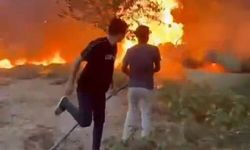 Birecik'te yangın paniğe neden oldu