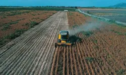 Çiftçiye 195,6 milyon liralık destek müjdesi