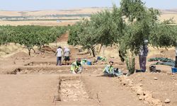 Çin'in Türkiye'deki ilk kazı projesi Şanlıurfa'da gerçekleşti