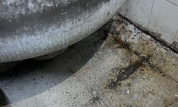 Gaziantep’te fırında ortaya çıkan görüntüler şoke etti