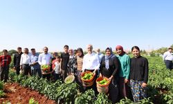 Gaziantep’te çiftçilere fide desteği