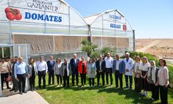 Gaziantep’te çöpten enerji alan serada rekor üretim