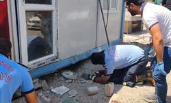 Gaziantep’te konteyner altında mahsur kalan köpekler kurtarıldı