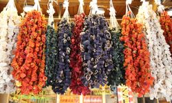 Gaziantep'te kurutmalık sezonu başladı