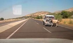 Kamyonet yola çıkan eşeğe çarptı