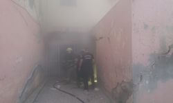 Binada çıkan yangında mahsur kalan kediler kurtarıldı