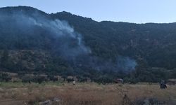 Gaziantep'te ormanlık alanda korkutan yangın