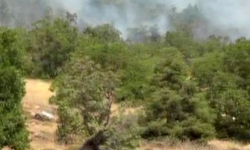 Dağlık alanda ulaşılamayan örtü yangını
