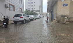 Gaziantep'te sıcak havayı yaz yağmuru serinletti