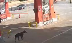 Gaziantep’te silahlı kavganın görüntüleri ortaya çıktı