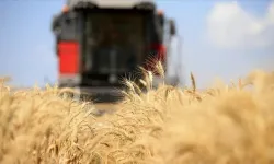 Küresel gıda fiyatları 3,5 yılın zirvesine çıktı