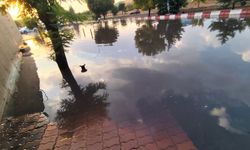 Gaziantep’te fırtına ve yaz yağmuru etkili oldu