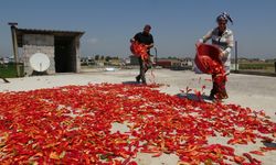 Hatay’da damlar kırmızıya büründü