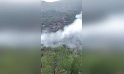 İslahiye'de ormanlık alanda yangın çıktı