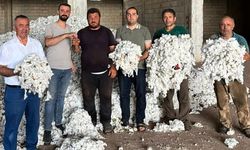 Gaziantep’te pamuk üreticisi hasat mesaisine başladı