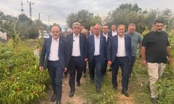 Yeni Parti Bafra’da tarım sorunlarını sahada dinledi