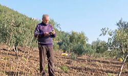 Gaziantep'te amca-yeğenin arazi kavgası kanlı bitti