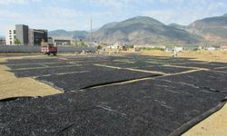 Gaziantep’te üzümler kışlık lezzete dönüşecek
